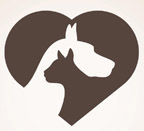 Clear the Shelter.jpg